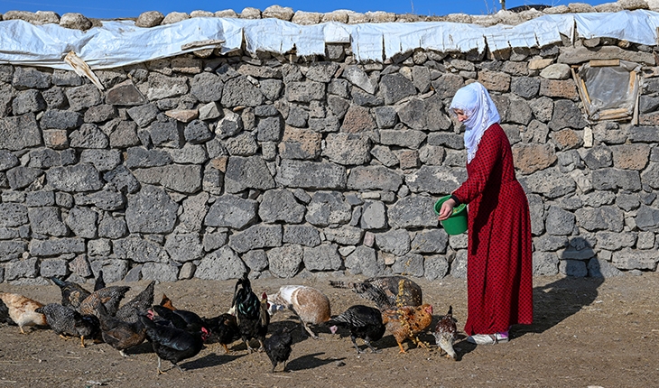 Geçen yılın en soğuk ilçelerinde bu sene sıcaklıklar arttı